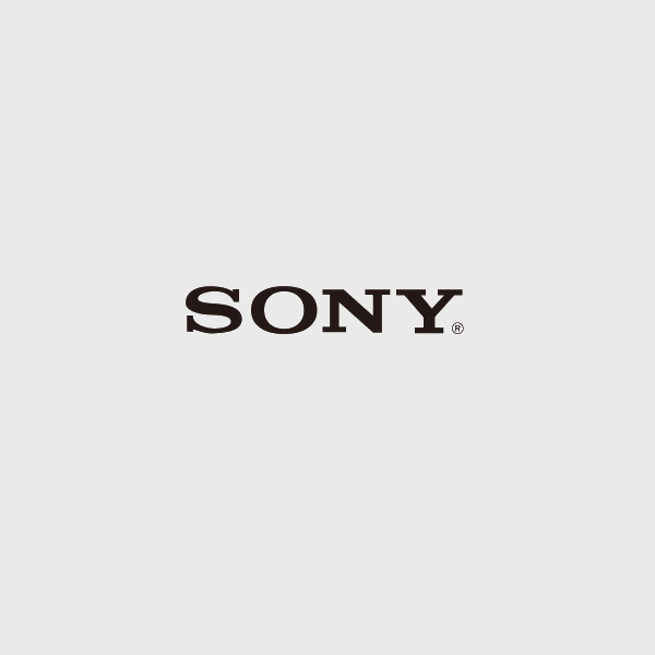 Ремонт ноутбуков SONY в Гатчине